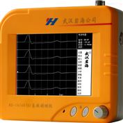 RS-1616K(S)高低应变基桩动测仪